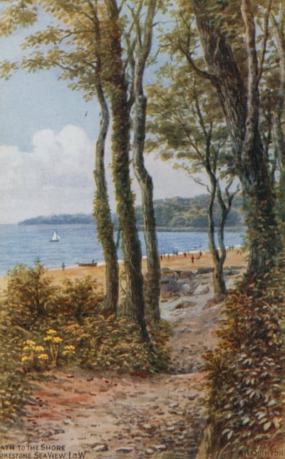 Sentiero verso la riva, vista sul mare, Isola di Wight da Alfred Robert Quinton